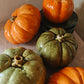 Ceramic pumpkins handmade