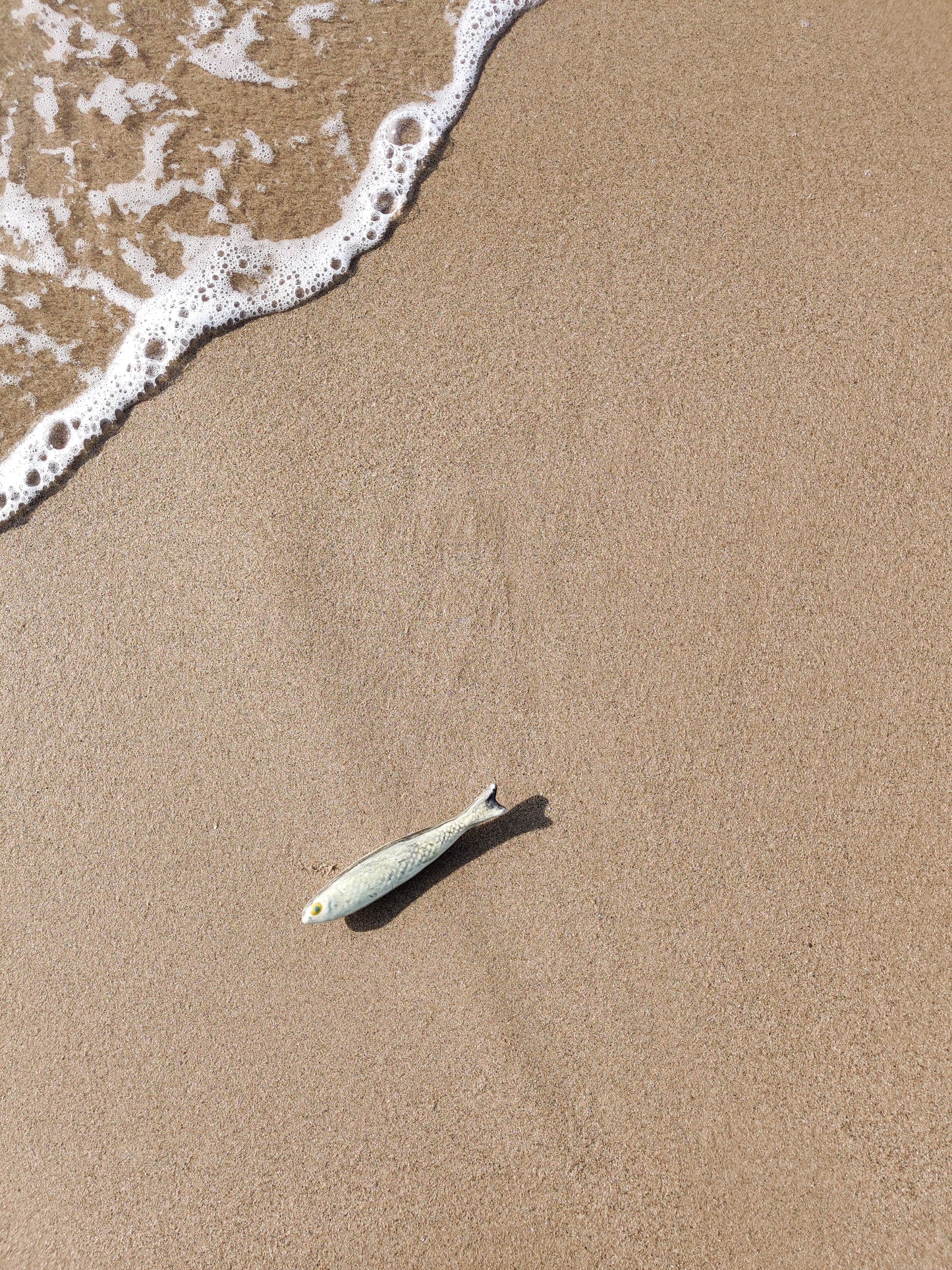 Ceramic Sardines