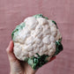 Ceramic cauliflower made in Spain