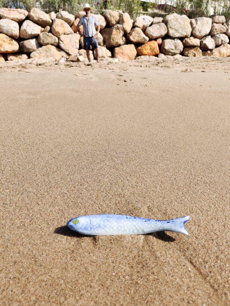 Ceramic Sardines